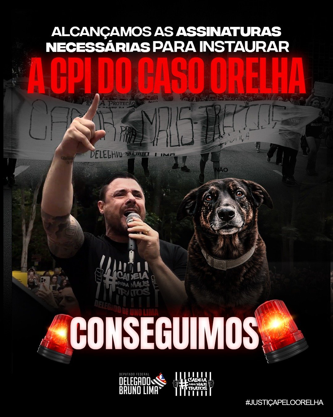 CPI do Caso Orelha em Brasília